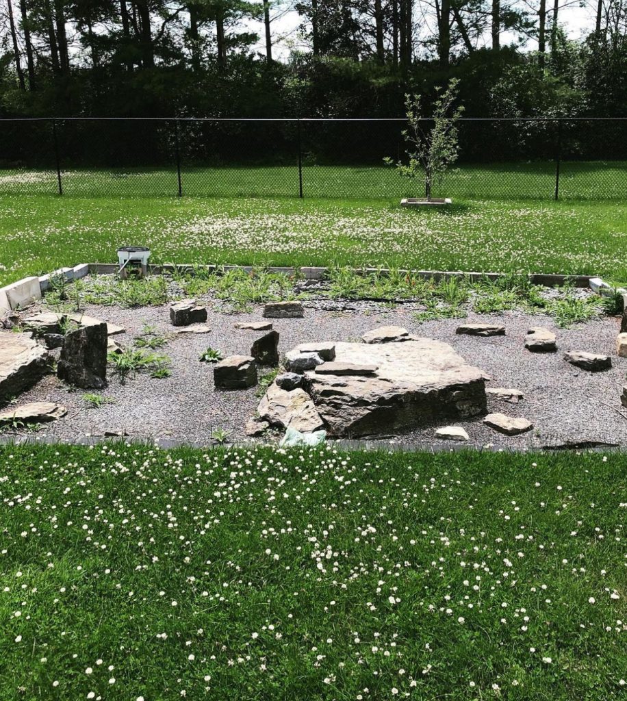 Ardisan hardscaping before