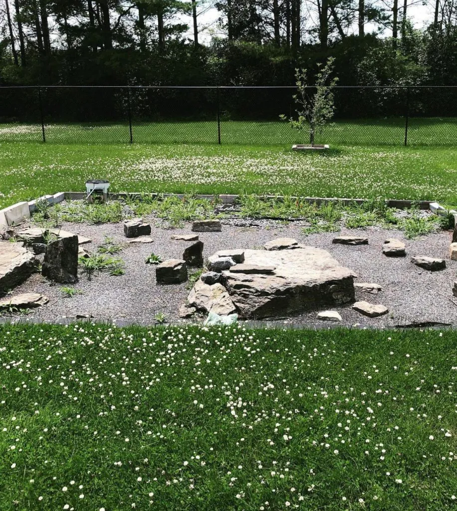 Ardisan hardscaping before